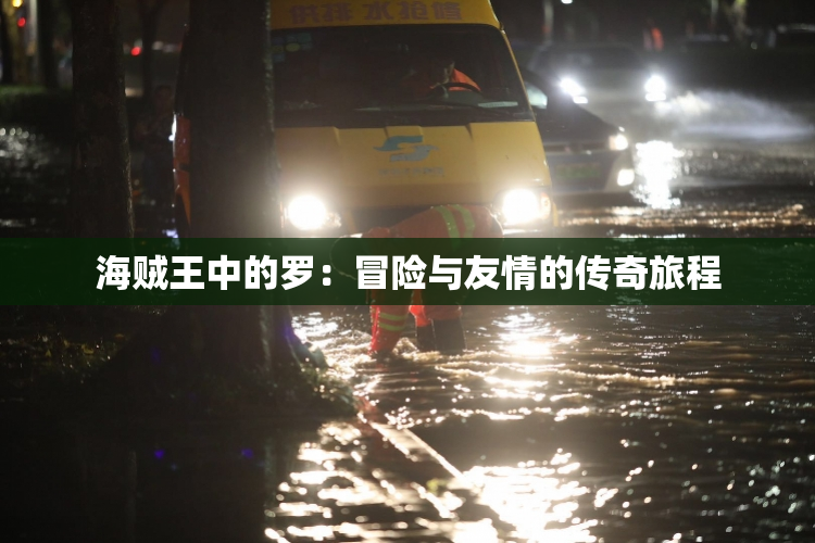 海贼王中的罗：冒险与友情的传奇旅程