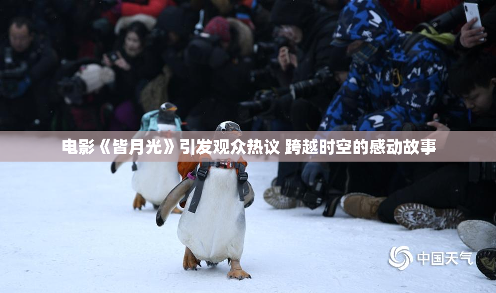 电影《皆月光》引发观众热议 跨越时空的感动故事