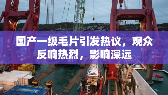 国产一级毛片引发热议，观众反响热烈，影响深远