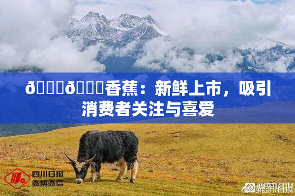 🔞🔞香蕉：新鲜上市，吸引消费者关注与喜爱