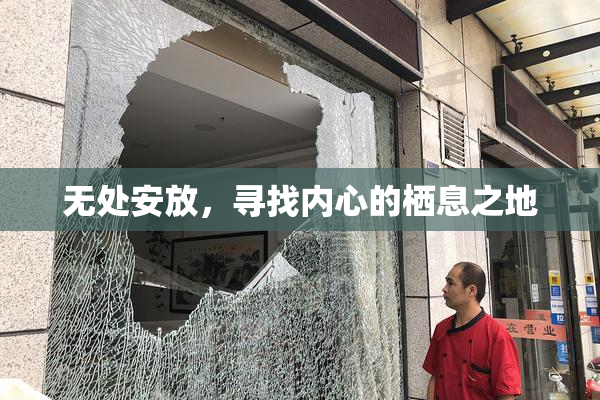 无处安放，寻找内心的栖息之地