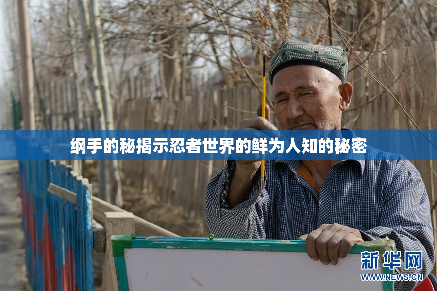 纲手的秘揭示忍者世界的鲜为人知的秘密