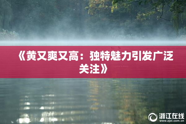 《黄又爽又高：独特魅力引发广泛关注》