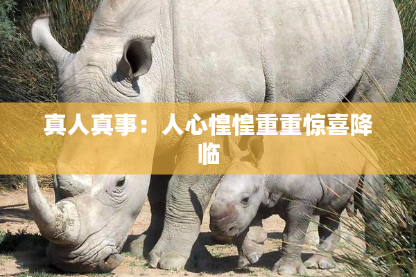 真人真事：人心惶惶重重惊喜降临