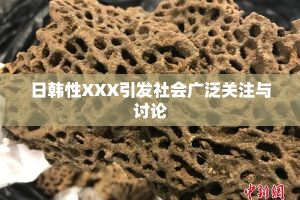 日韩性XXX引发社会广泛关注与讨论