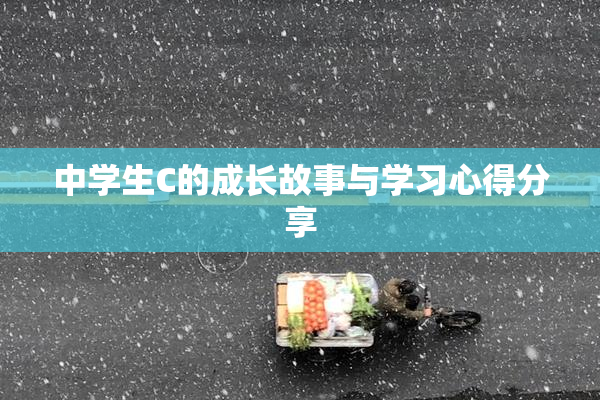 中学生C的成长故事与学习心得分享