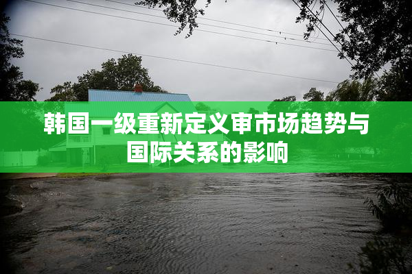 韩国一级重新定义审市场趋势与国际关系的影响