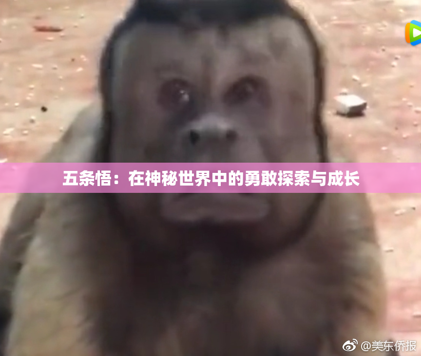 五条悟：在神秘世界中的勇敢探索与成长