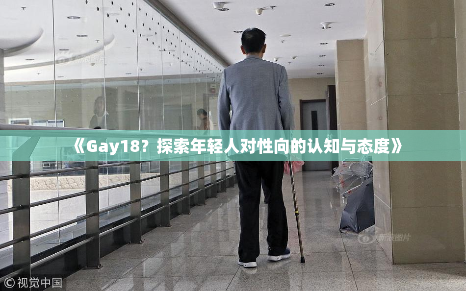 《Gay18？探索年轻人对性向的认知与态度》