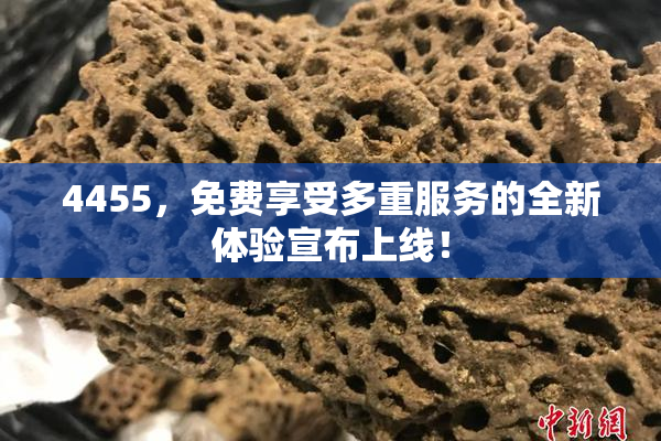 4455，免费享受多重服务的全新体验宣布上线！
