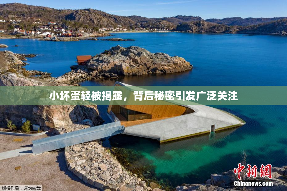 小坏蛋轻被揭露，背后秘密引发广泛关注