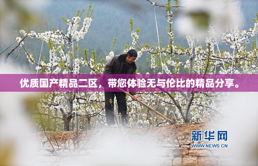 优质国产精品二区，带您体验无与伦比的精品分享。