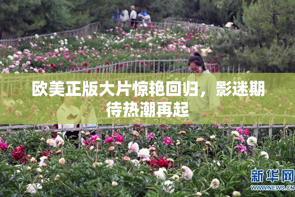 欧美正版大片惊艳回归，影迷期待热潮再起