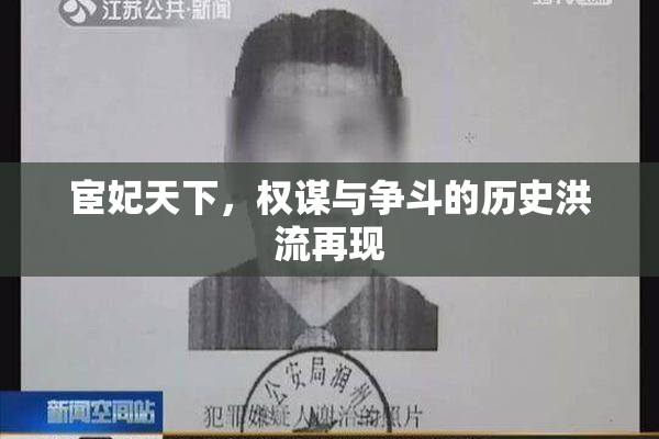宦妃天下，权谋与争斗的历史洪流再现