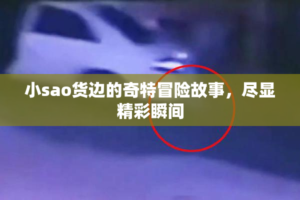 小sao货边的奇特冒险故事，尽显精彩瞬间