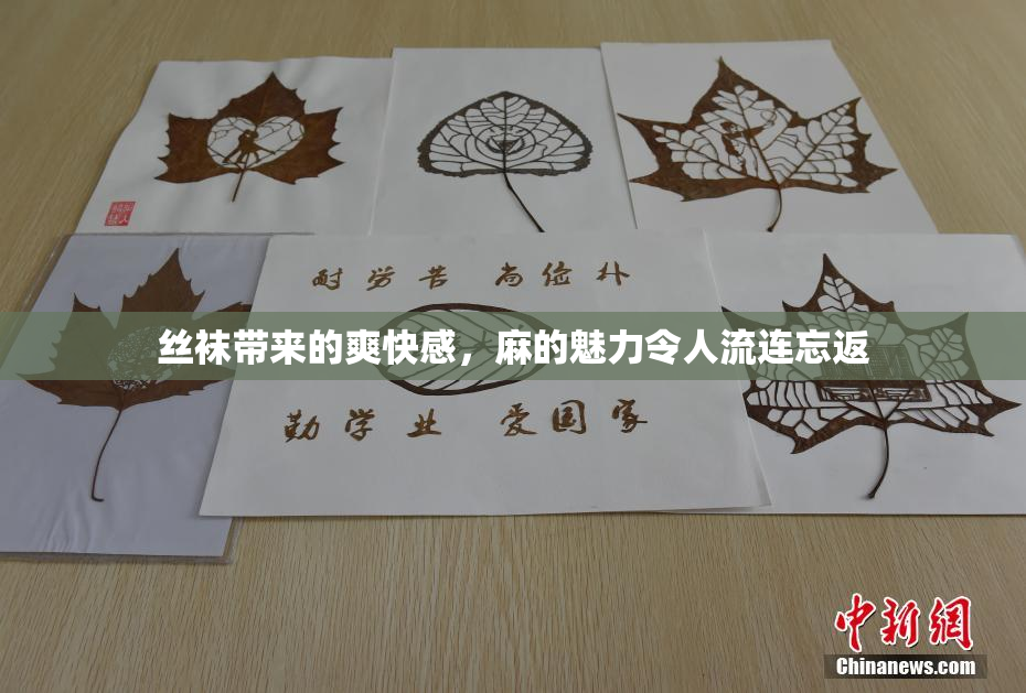 丝袜带来的爽快感，麻的魅力令人流连忘返