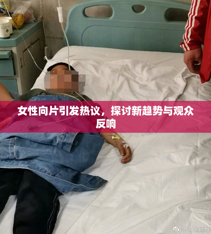 女性向片引发热议，探讨新趋势与观众反响