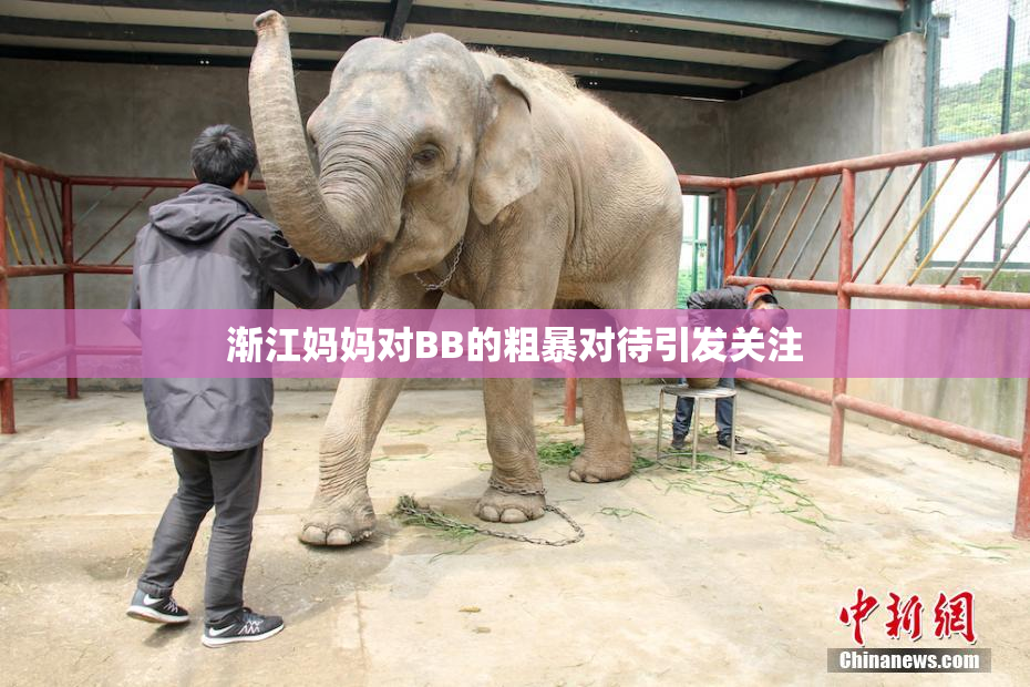 渐江妈妈对BB的粗暴对待引发关注
