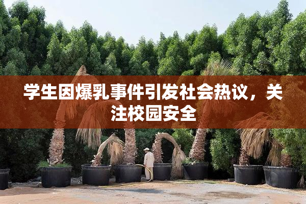 学生因爆乳事件引发社会热议，关注校园安全