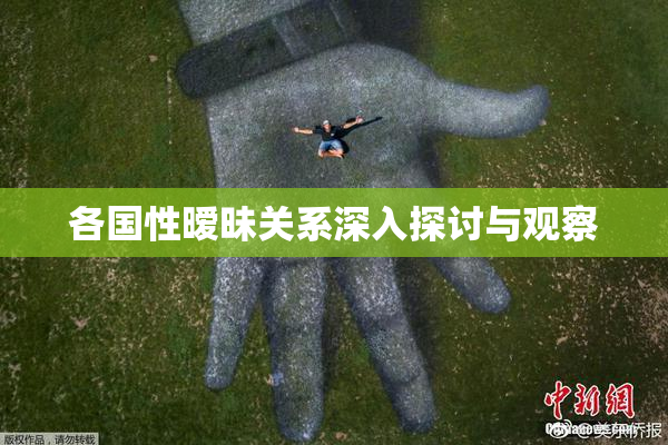 各国性暧昧关系深入探讨与观察