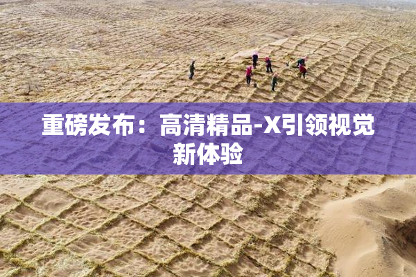 重磅发布：高清精品-X引领视觉新体验