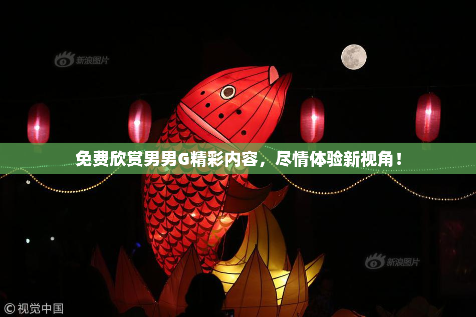 免费欣赏男男G精彩内容，尽情体验新视角！
