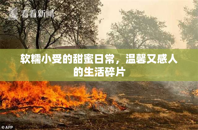 软糯小受的甜蜜日常，温馨又感人的生活碎片