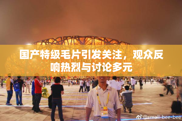 国产特级毛片引发关注，观众反响热烈与讨论多元