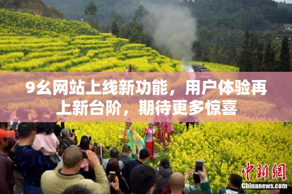 9幺网站上线新功能，用户体验再上新台阶，期待更多惊喜