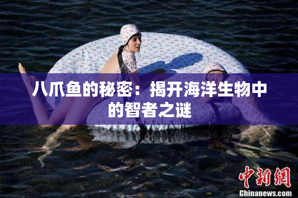 八爪鱼的秘密：揭开海洋生物中的智者之谜