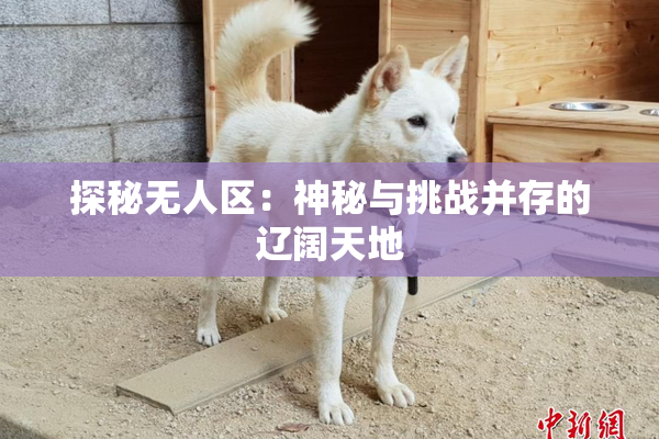 探秘无人区：神秘与挑战并存的辽阔天地