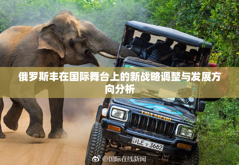 俄罗斯丰在国际舞台上的新战略调整与发展方向分析