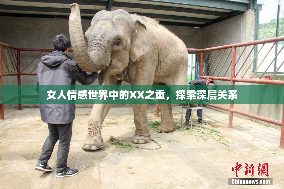 女人情感世界中的XX之重，探索深层关系