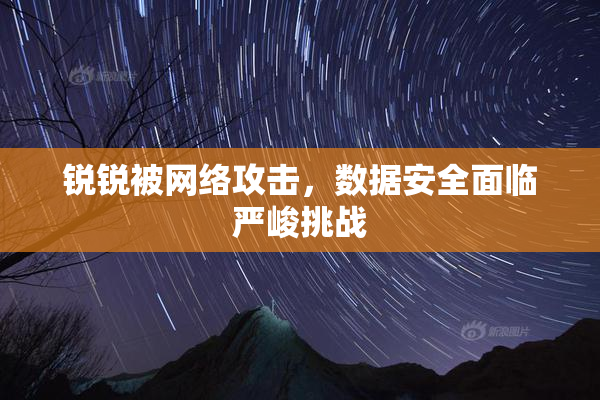 锐锐被网络攻击，数据安全面临严峻挑战