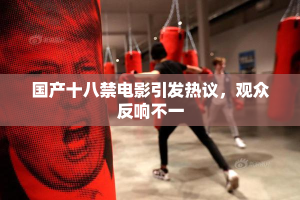 国产十八禁电影引发热议，观众反响不一