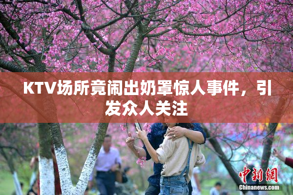 KTV场所竟闹出奶罩惊人事件，引发众人关注