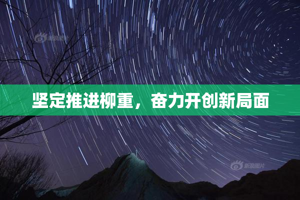 坚定推进柳重，奋力开创新局面