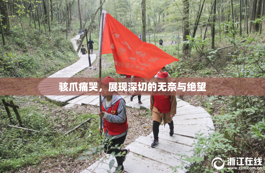骇爪痛哭，展现深切的无奈与绝望