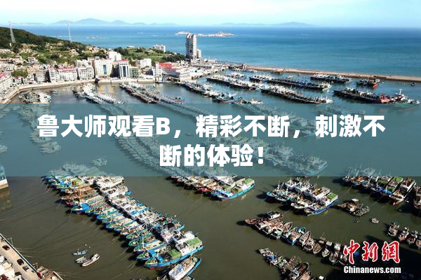 鲁大师观看B，精彩不断，刺激不断的体验！