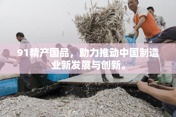 91精产国品，助力推动中国制造业新发展与创新。