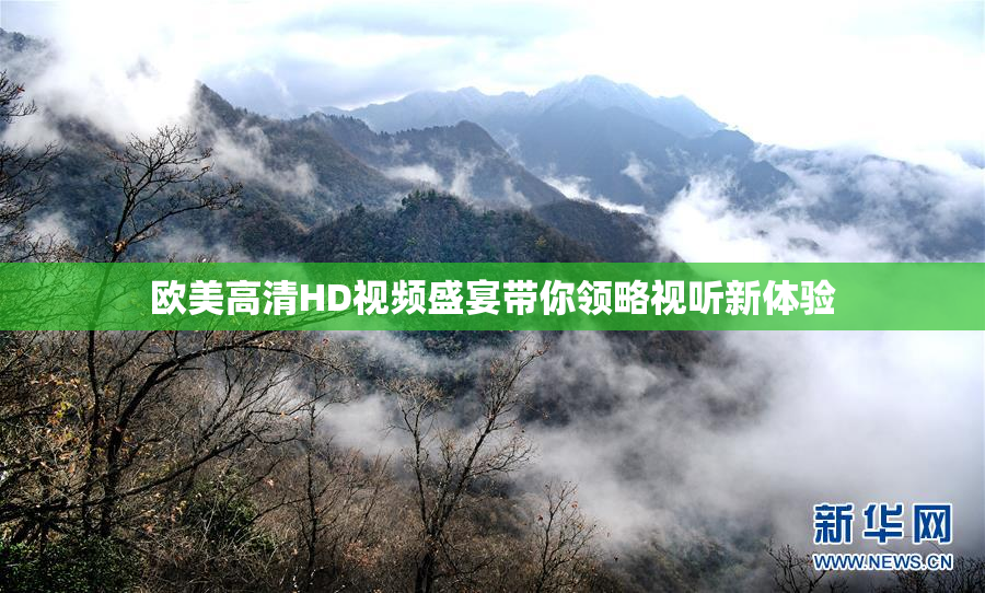 欧美高清HD视频盛宴带你领略视听新体验