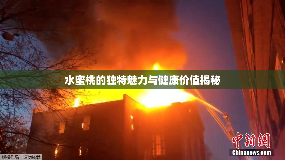 水蜜桃的独特魅力与健康价值揭秘