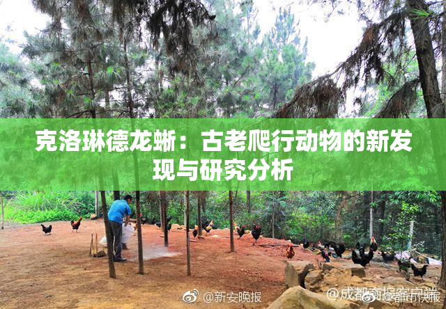 克洛琳德龙蜥：古老爬行动物的新发现与研究分析
