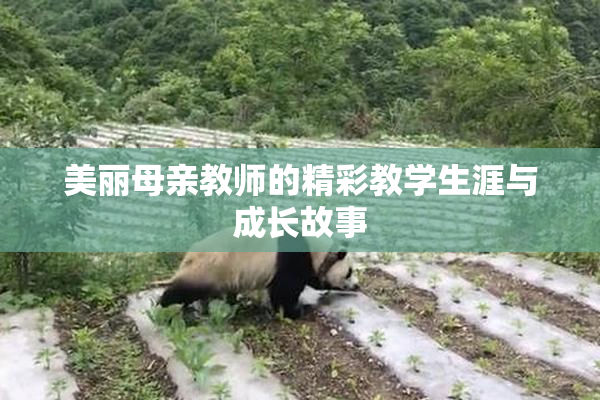 美丽母亲教师的精彩教学生涯与成长故事
