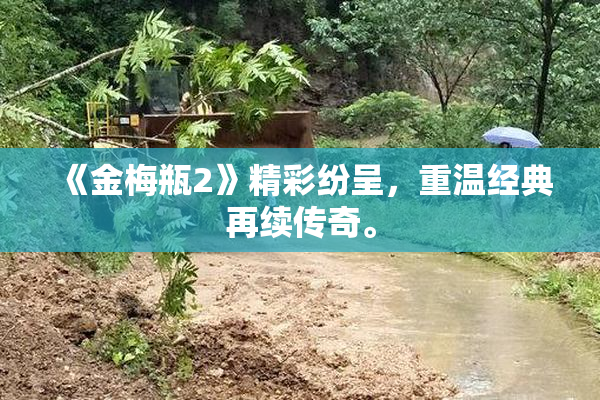 《金梅瓶2》精彩纷呈，重温经典再续传奇。