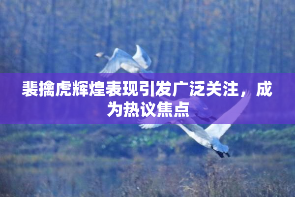 裴擒虎辉煌表现引发广泛关注，成为热议焦点