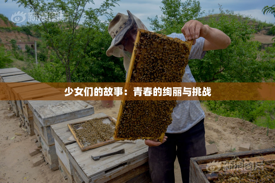 少女们的故事：青春的绚丽与挑战