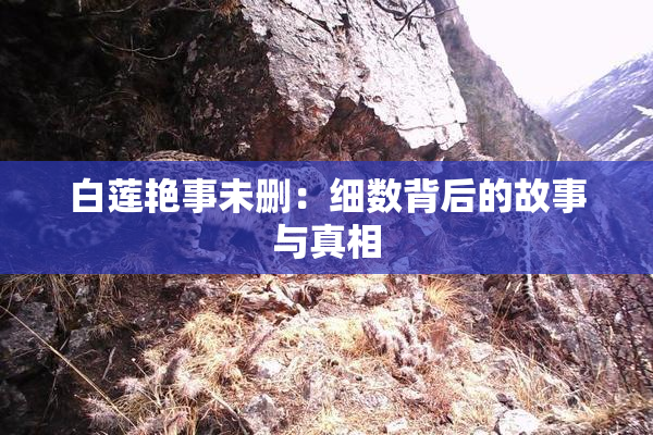白莲艳事未删：细数背后的故事与真相