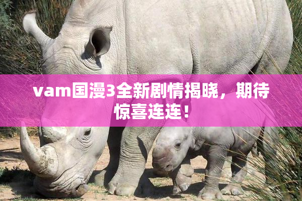 vam国漫3全新剧情揭晓，期待惊喜连连！
