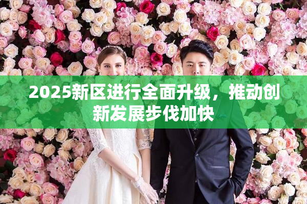 2025新区进行全面升级，推动创新发展步伐加快